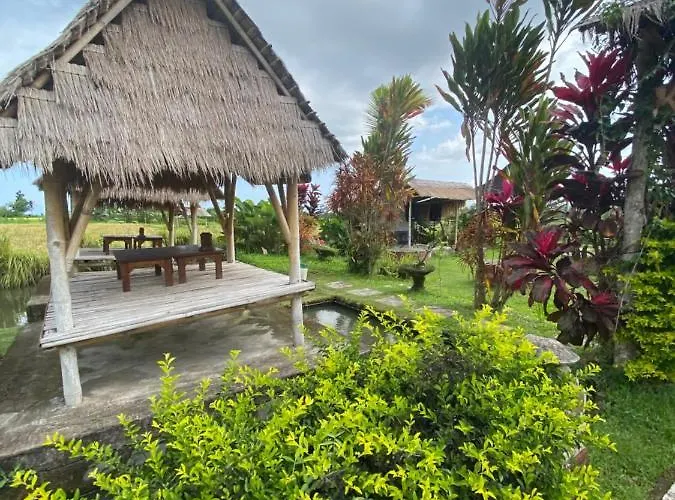 Kubu Bakas 3*