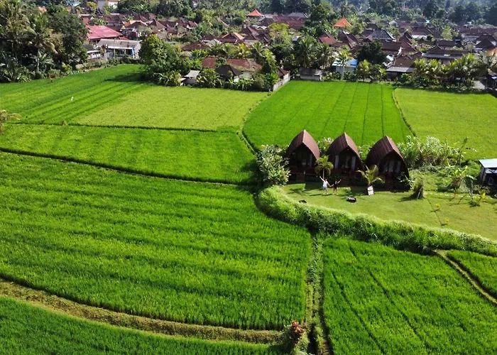 Kubu Bakas 招待所 Banjarangkan